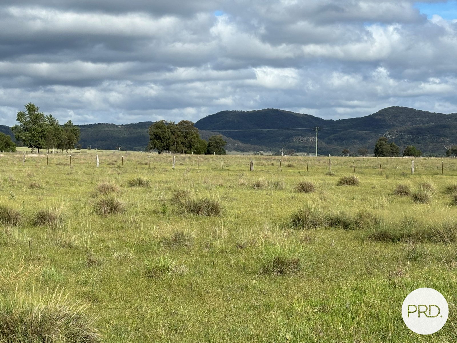 197 Mount Dangar Road, BAERAMI  DENMAN 14