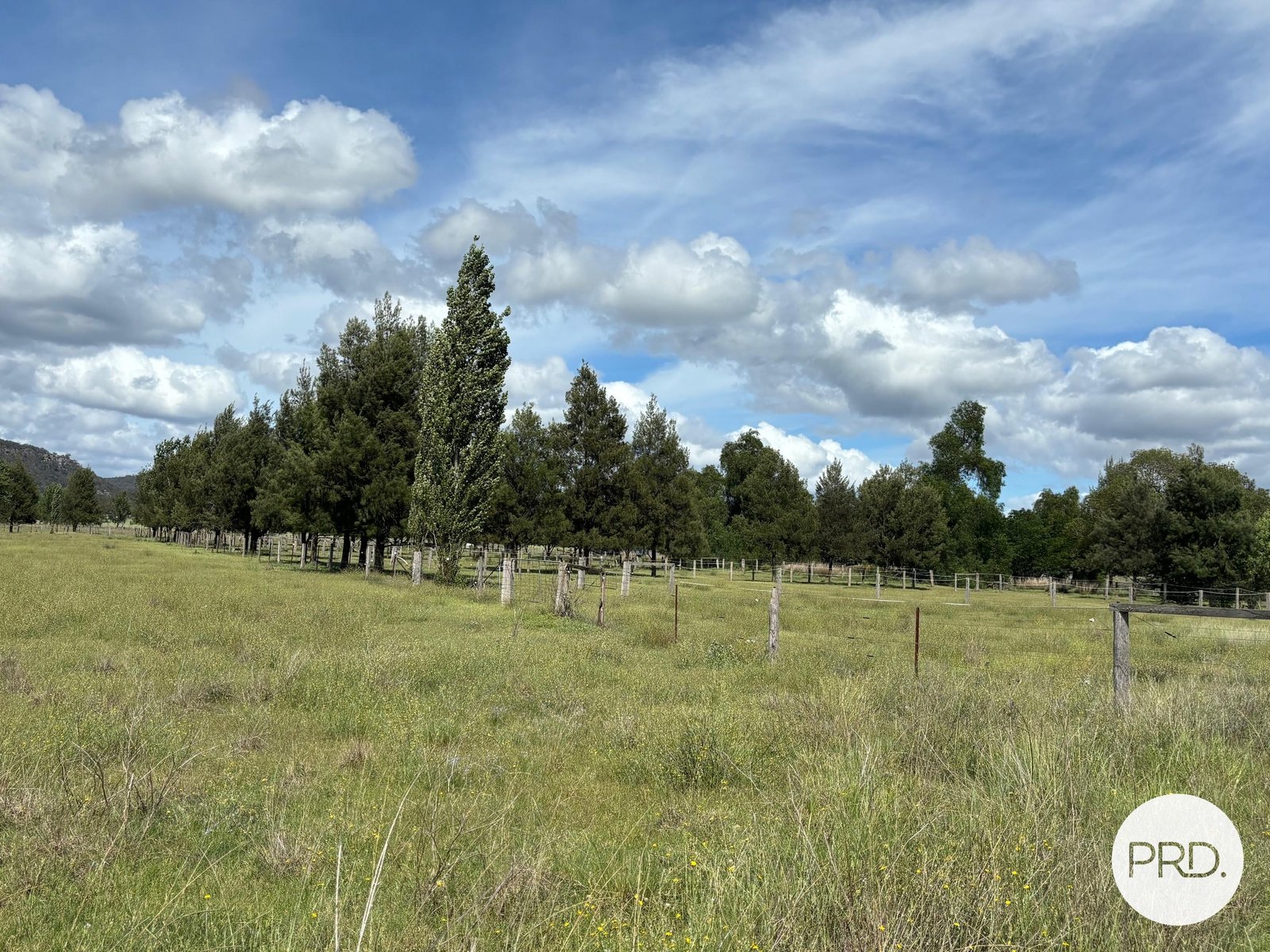 197 Mount Dangar Road, BAERAMI  DENMAN 22