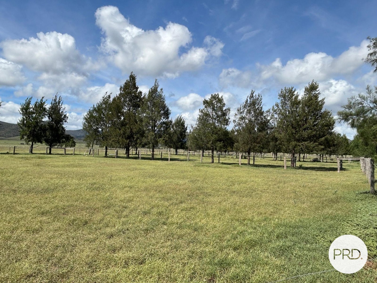 197 Mount Dangar Road, BAERAMI  DENMAN 23