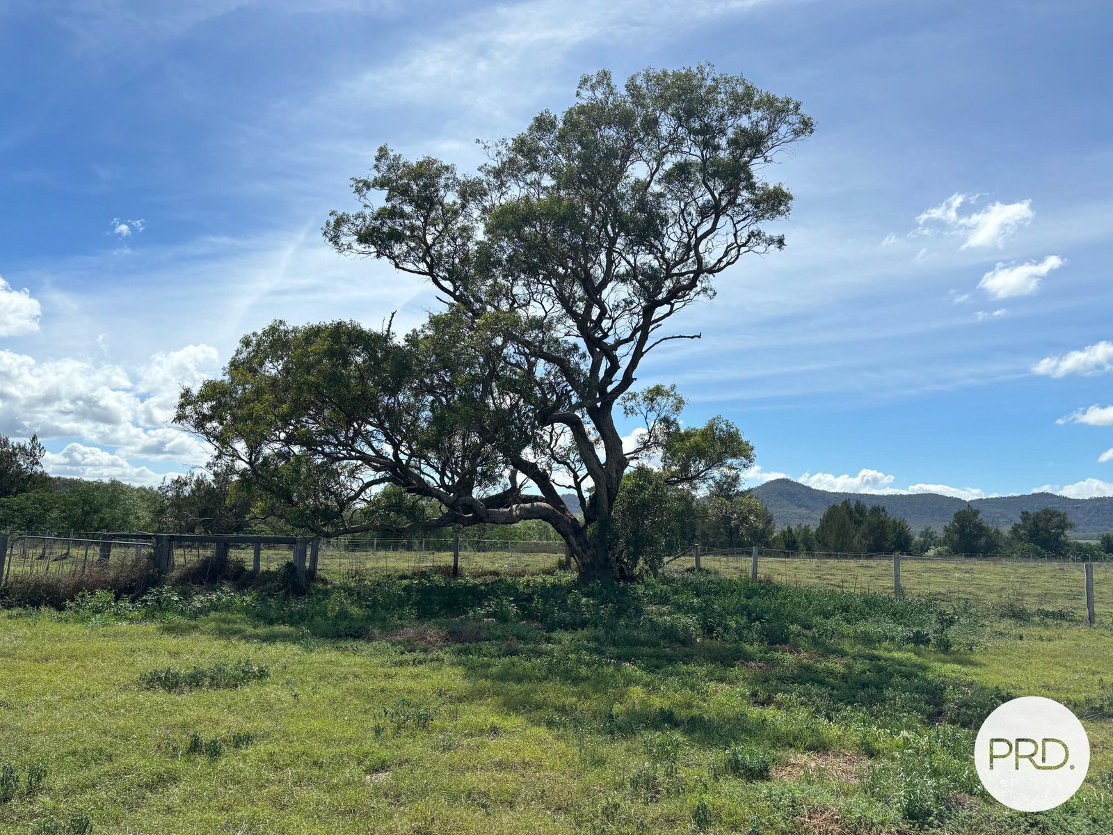 197 Mount Dangar Road, BAERAMI  DENMAN 28