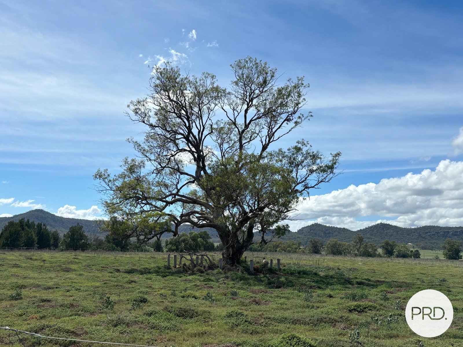 197 Mount Dangar Road, BAERAMI  DENMAN 29