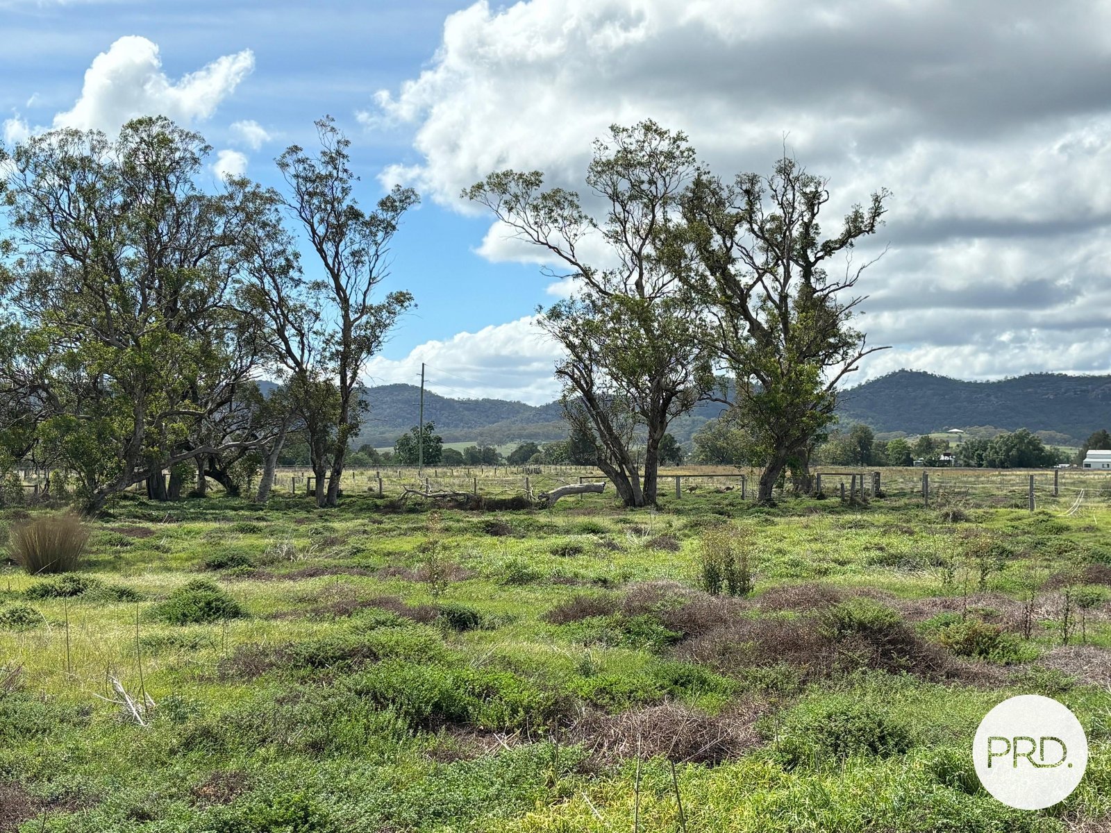 197 Mount Dangar Road, BAERAMI  DENMAN 31