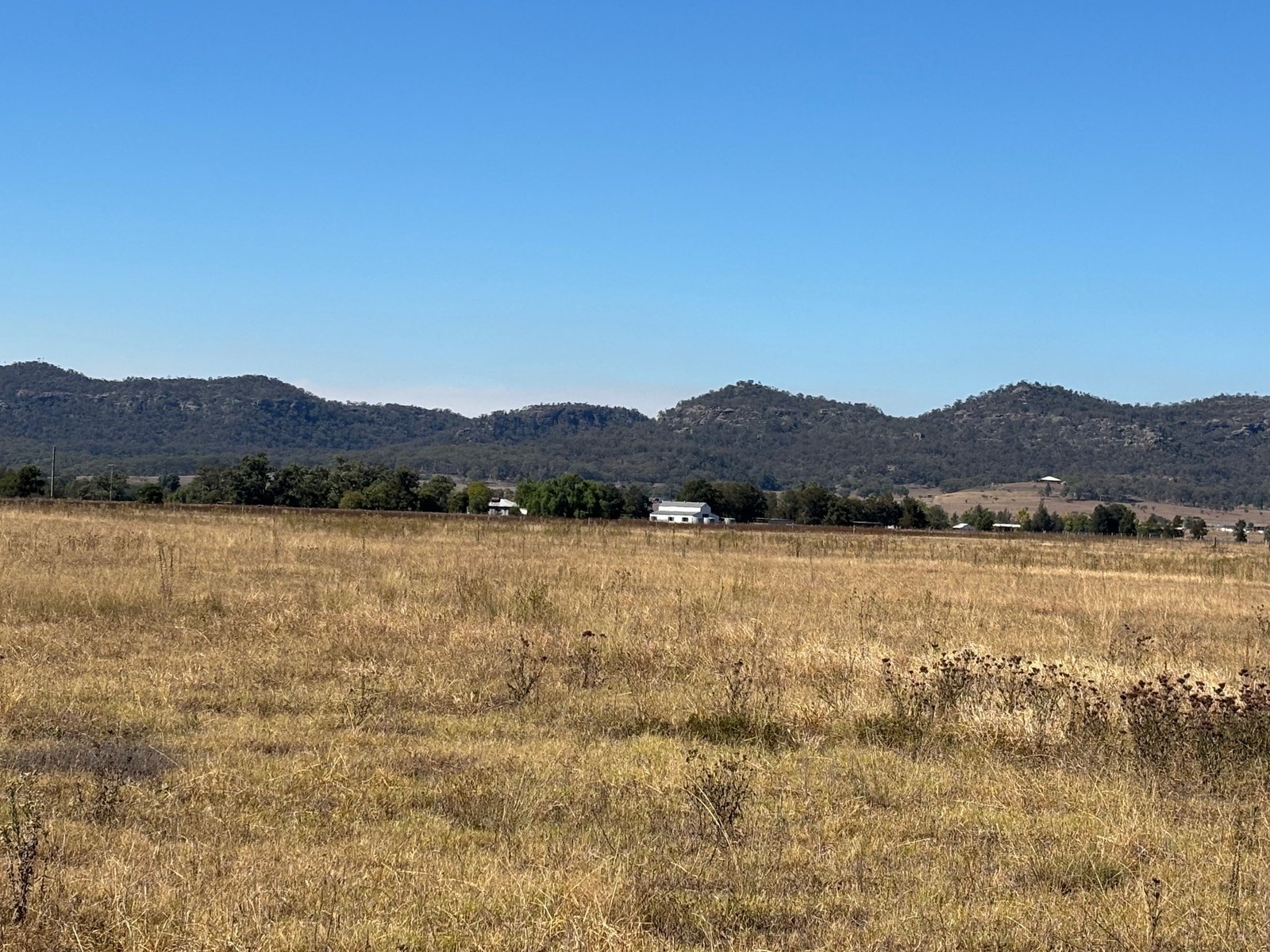 197 Mount Dangar Road,  BAERAMI 6