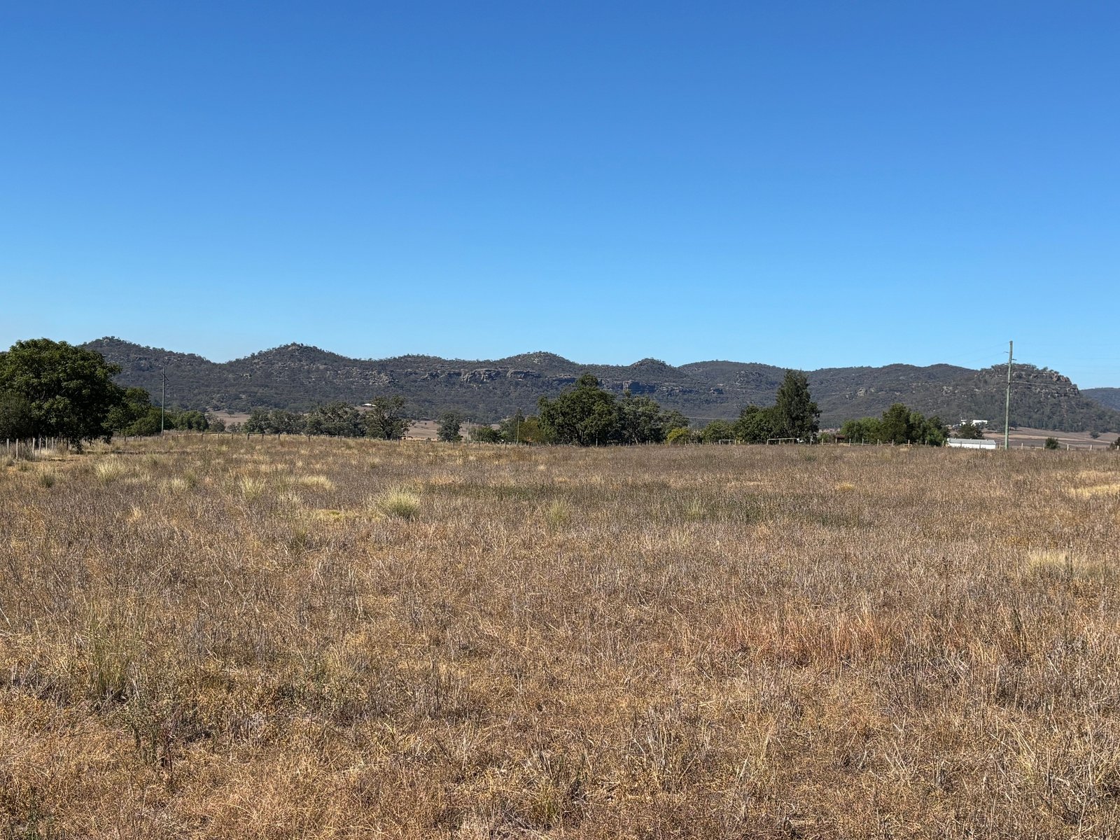 197 Mount Dangar Road,  BAERAMI 11