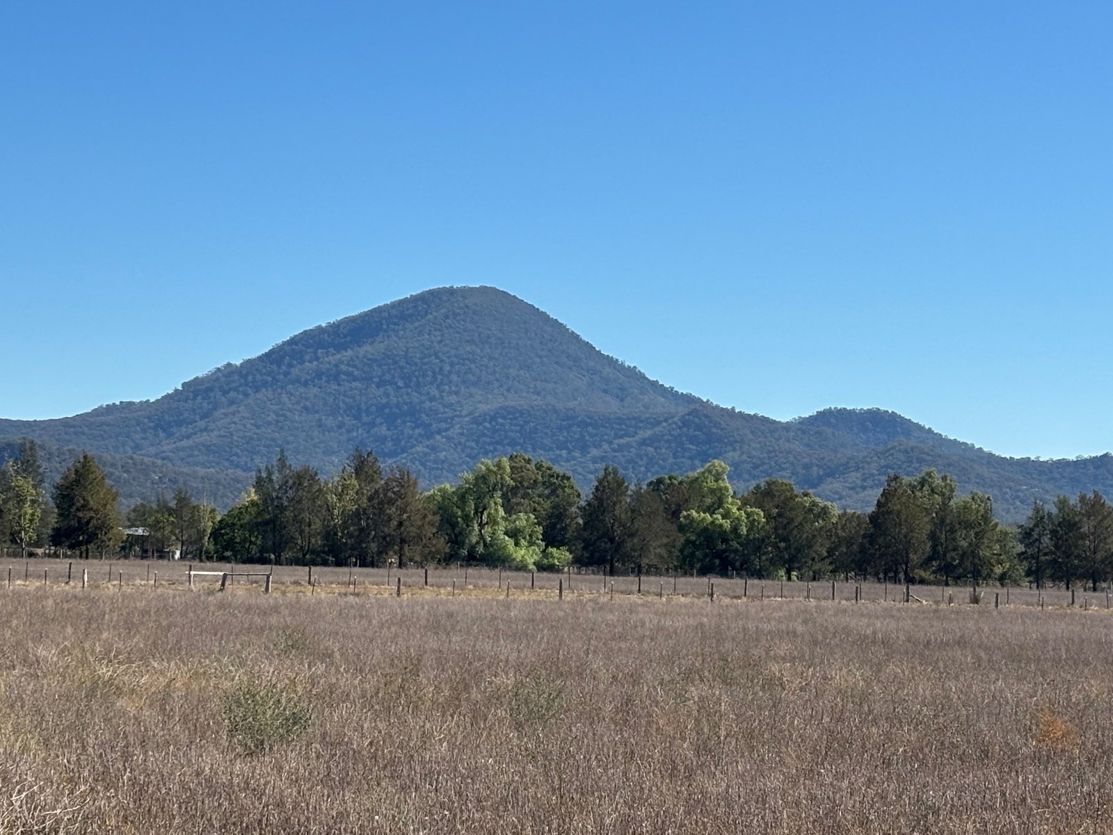 197 Mount Dangar Road,  BAERAMI 15