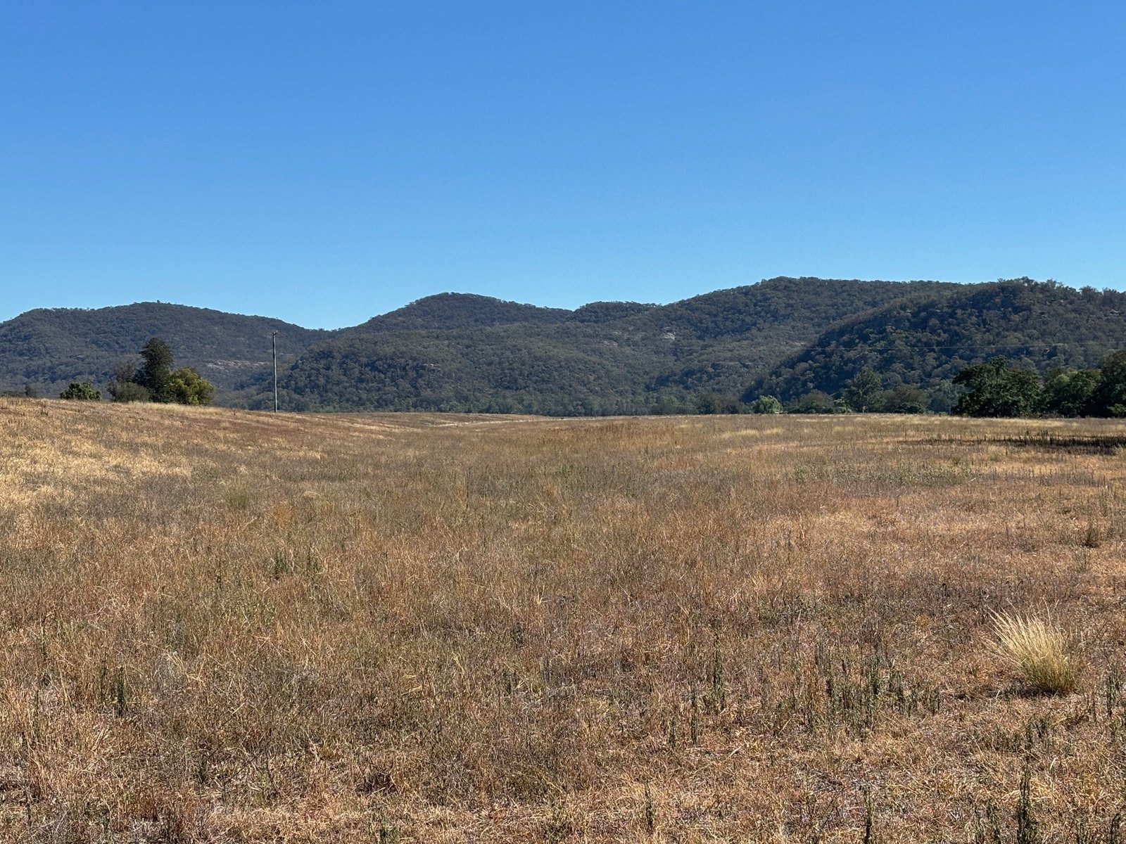 197 Mount Dangar Road,  BAERAMI 16