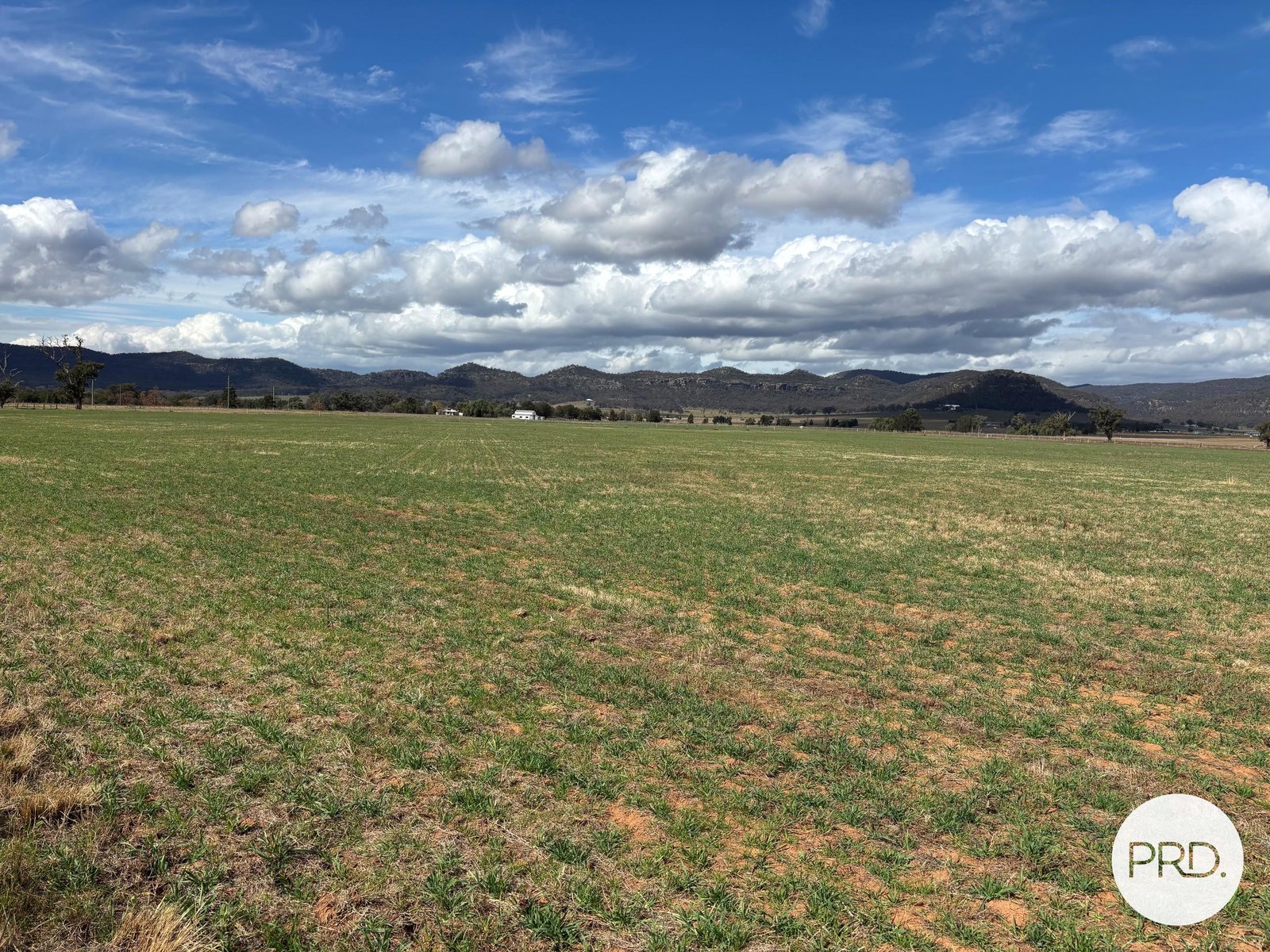 197 Mount Dangar Road,  BAERAMI 30