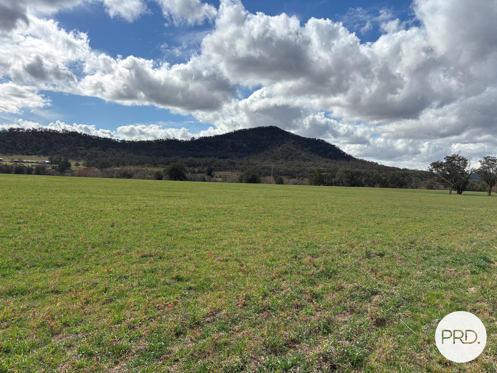 197 Mount Dangar Road,  BAERAMI 31