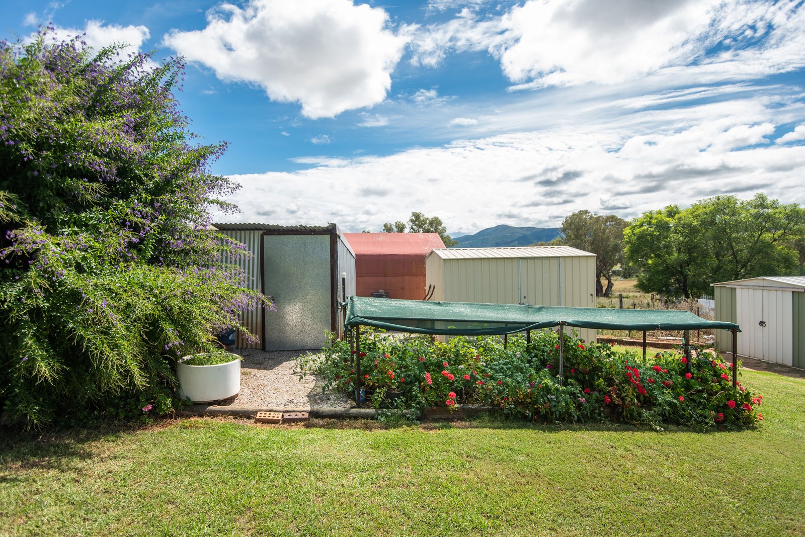 198 Bournes Lane TAMWORTH 14