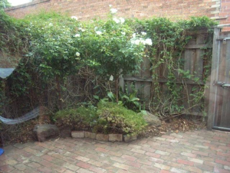 Gallery: 198 Napier Street