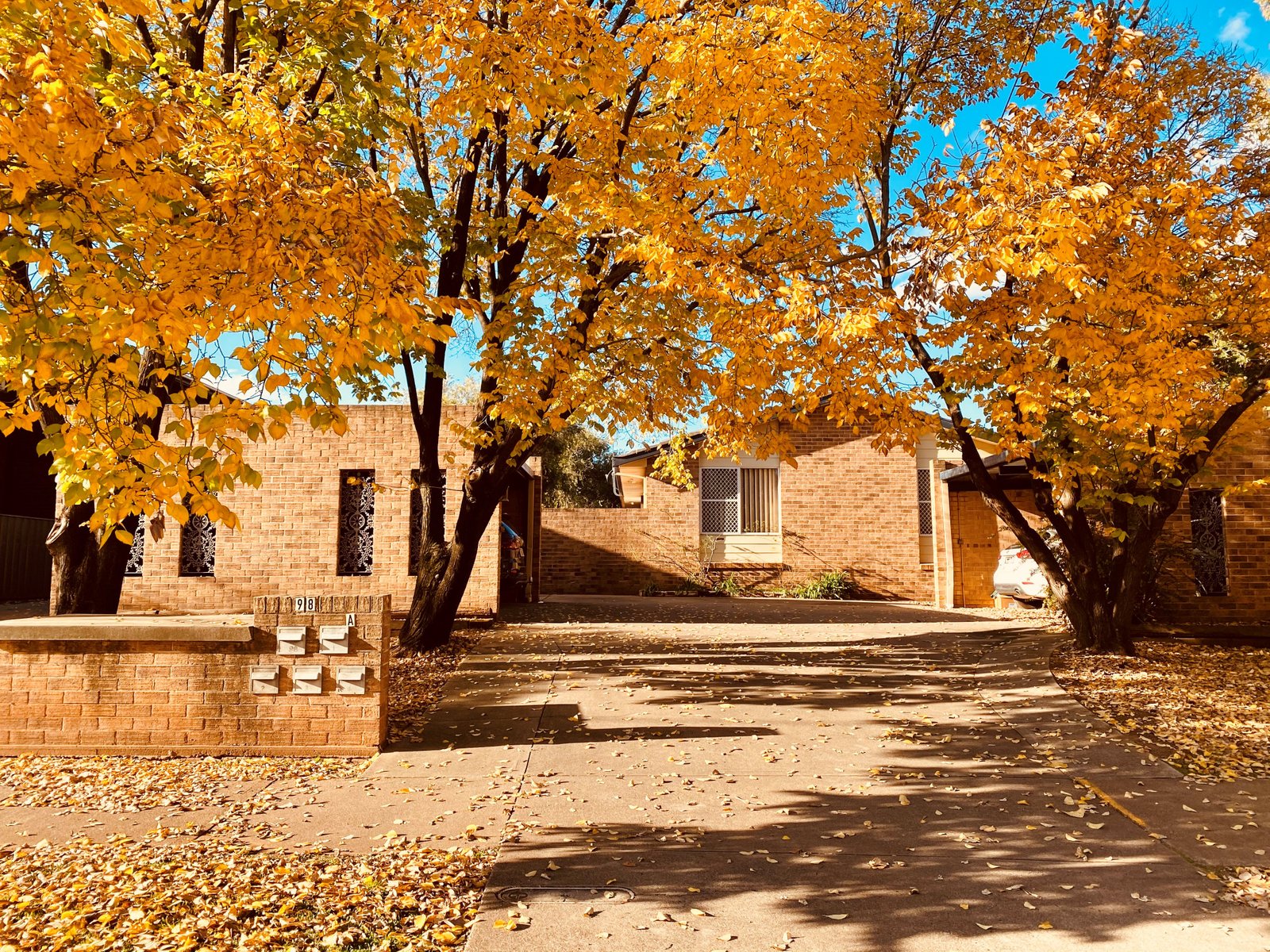 1/98a Carthage Street TAMWORTH 14