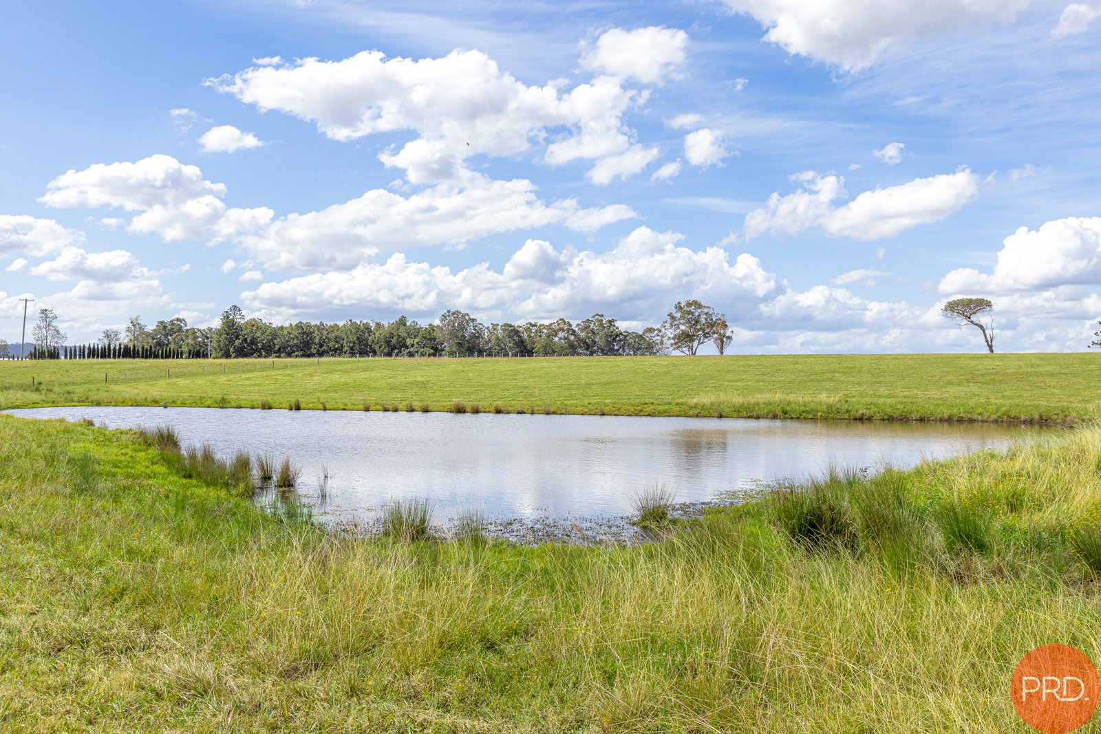 199 Anambah Road ANAMBAH 2
