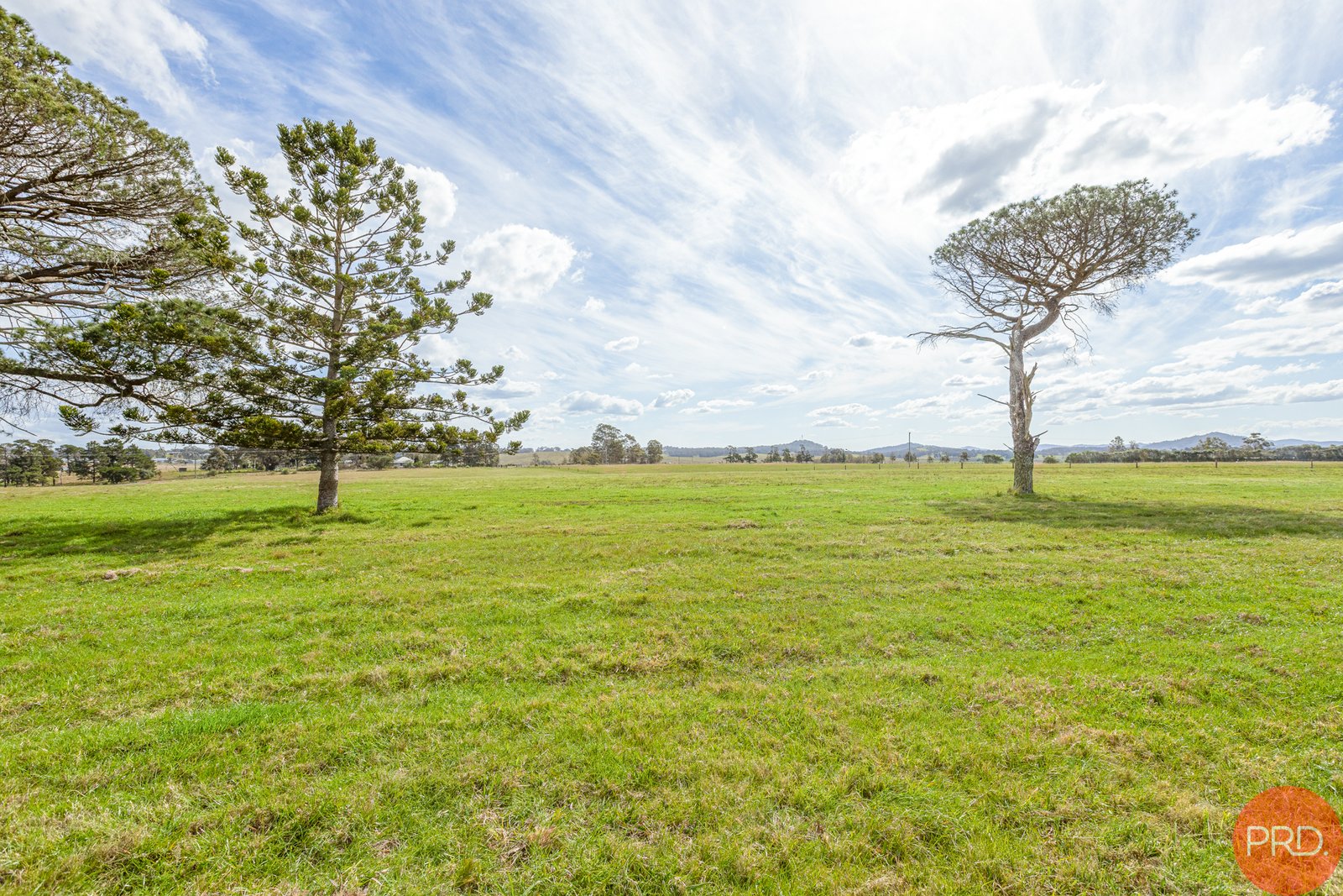 199 Anambah Road ANAMBAH 5