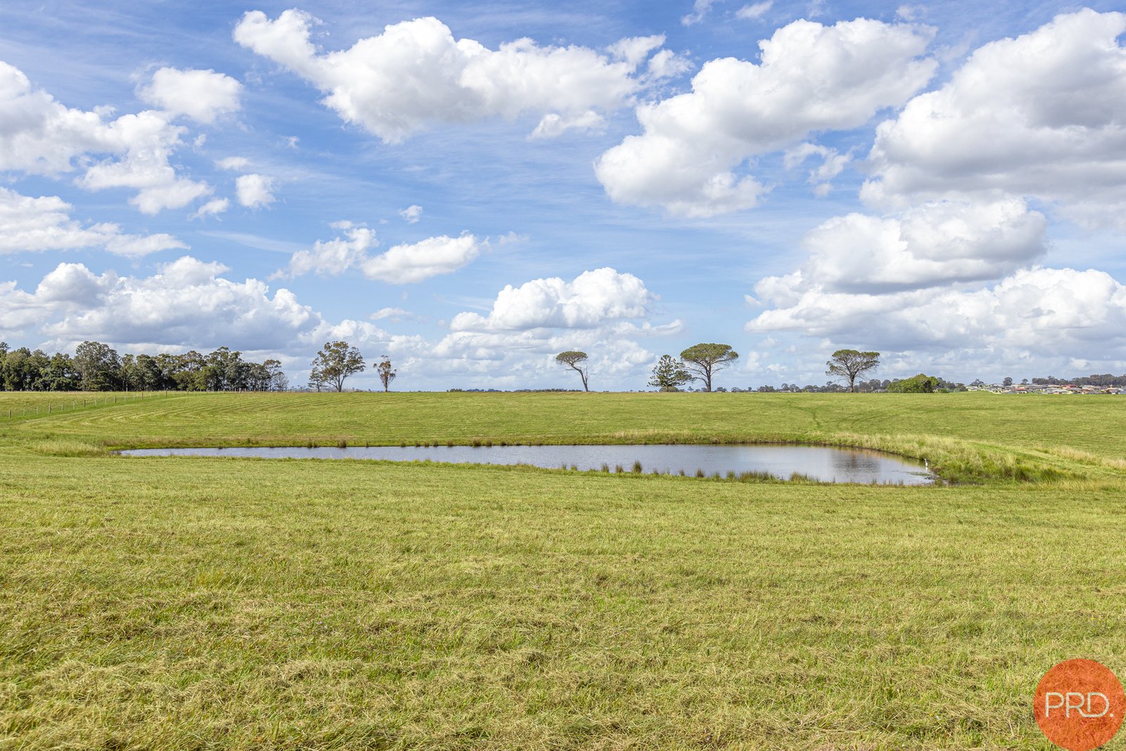 199 Anambah Road ANAMBAH 6