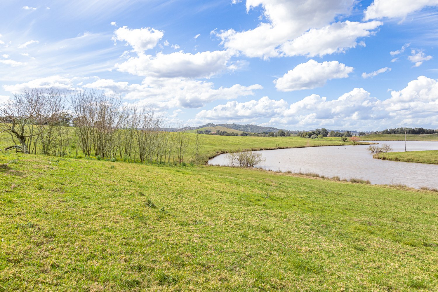 199 Anambah Road ANAMBAH 7