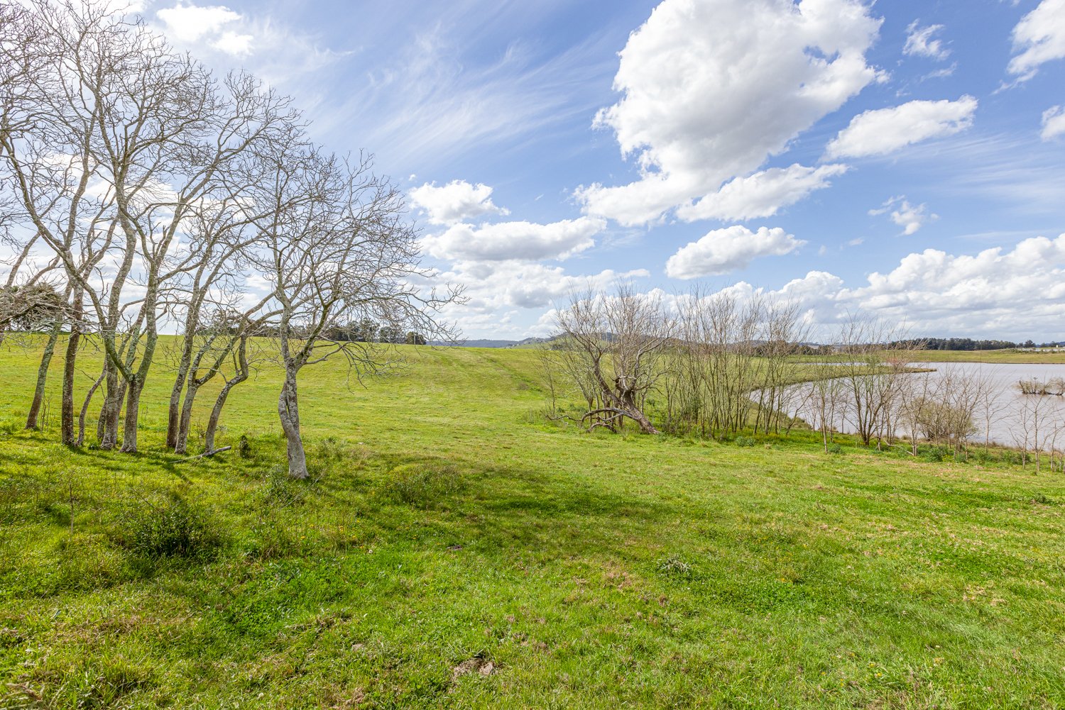 199 Anambah Road ANAMBAH 8