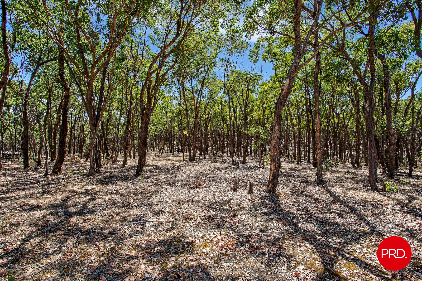 199 Chaplins Road WALMER 11