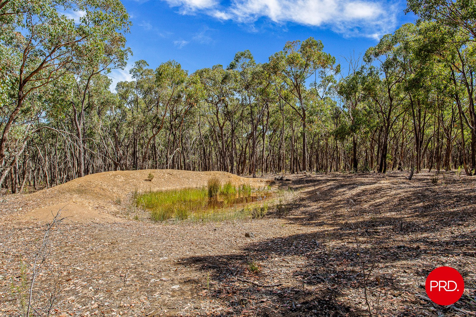 199 Chaplins Road WALMER 12