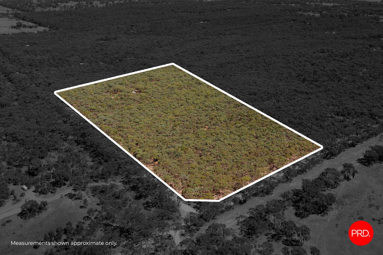 199 Chaplins Road WALMER 15