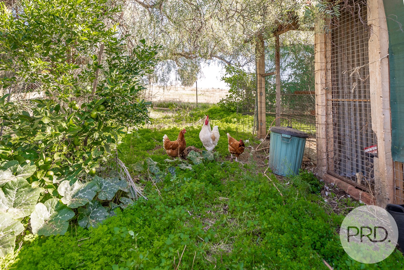 199 Dunnings Road BRUCEDALE 11