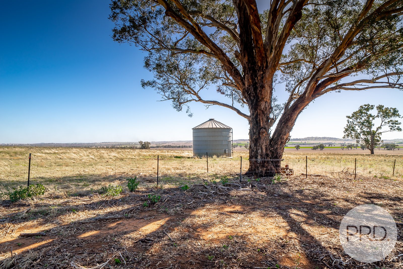 199 Dunnings Road BRUCEDALE 15