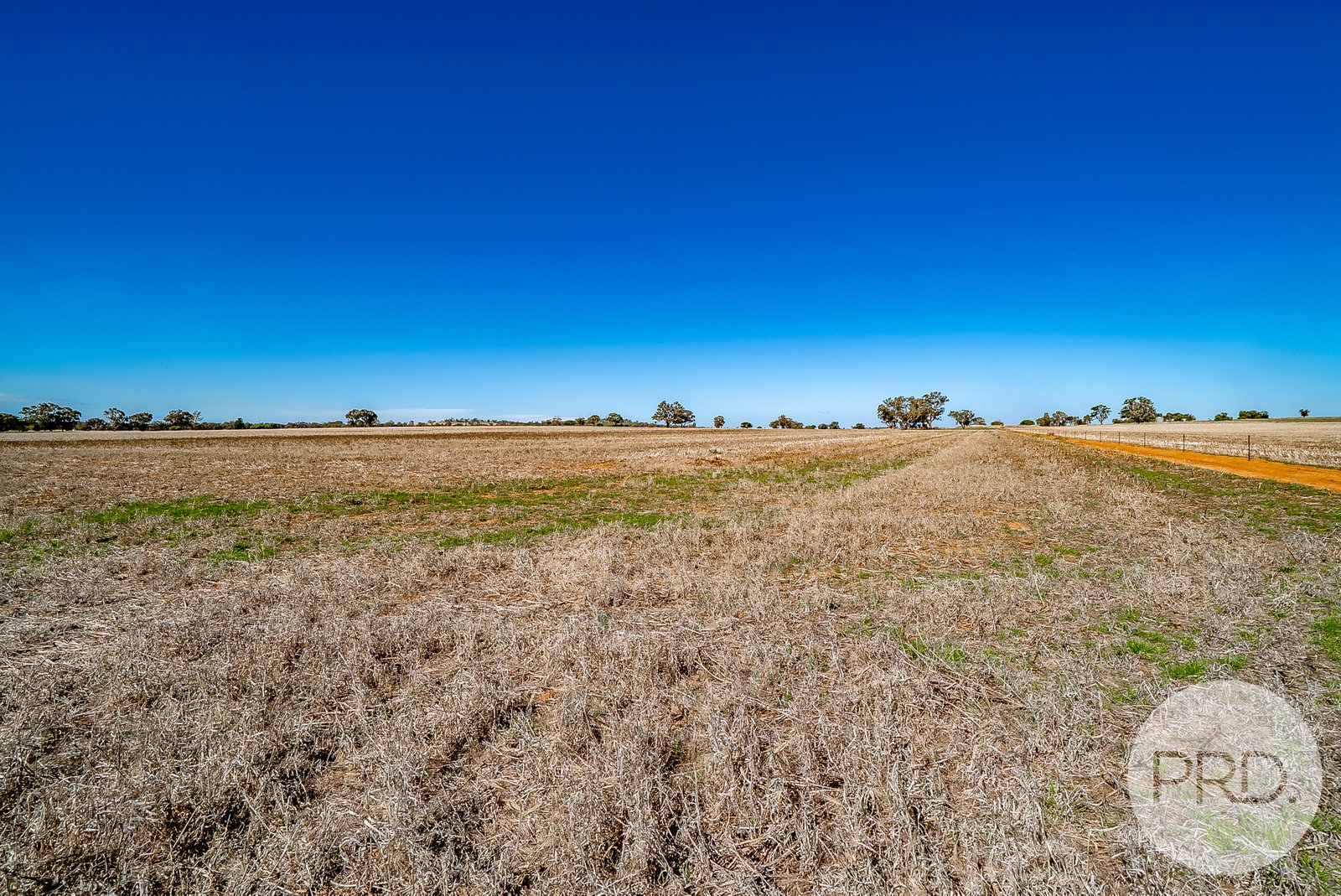 199 Dunnings Road BRUCEDALE 19