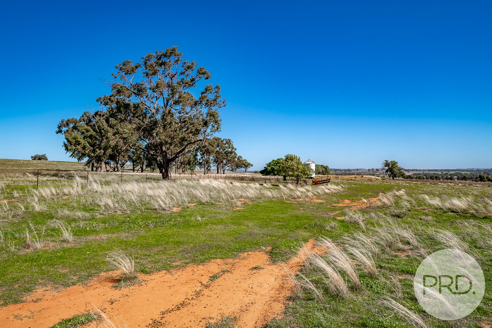 199 Dunnings Road BRUCEDALE 21