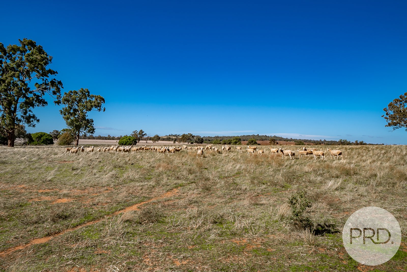 199 Dunnings Road BRUCEDALE 24