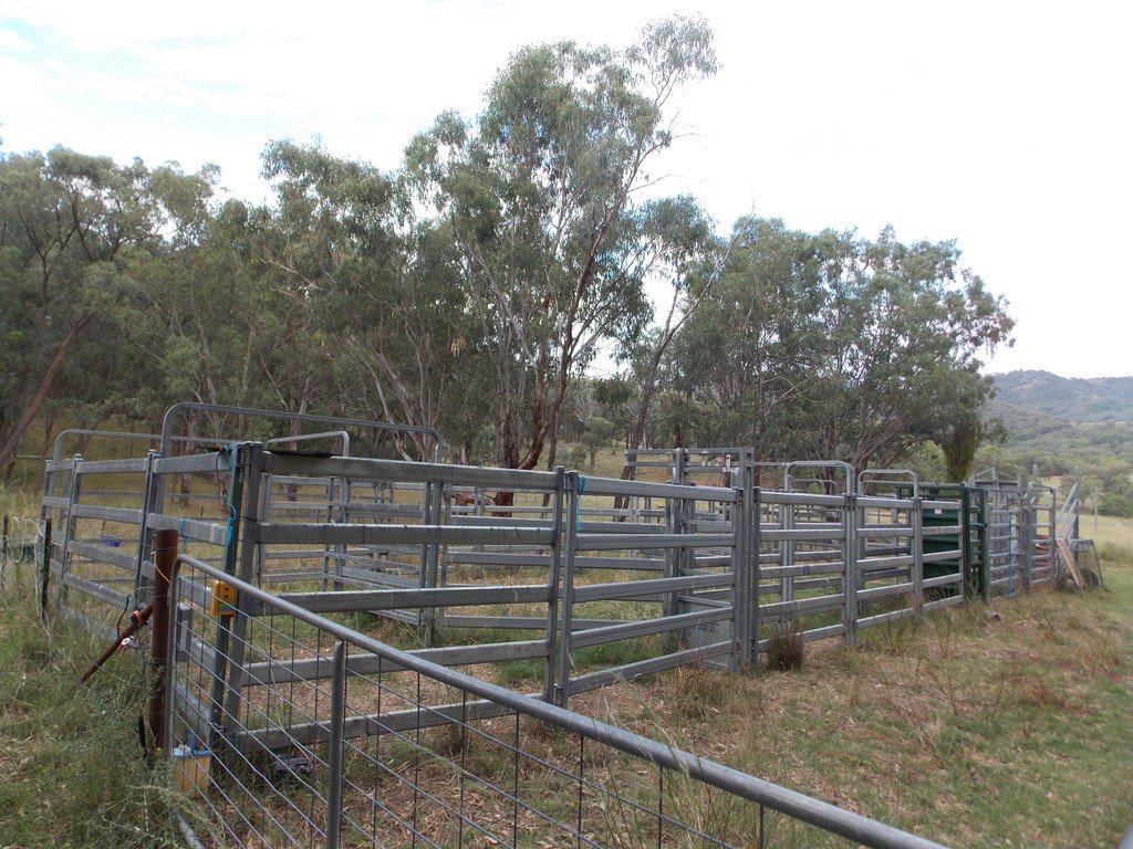199 Echo Hills Road TAMWORTH 10