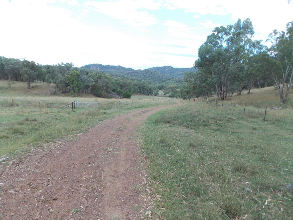 199 Echo Hills Road TAMWORTH 11
