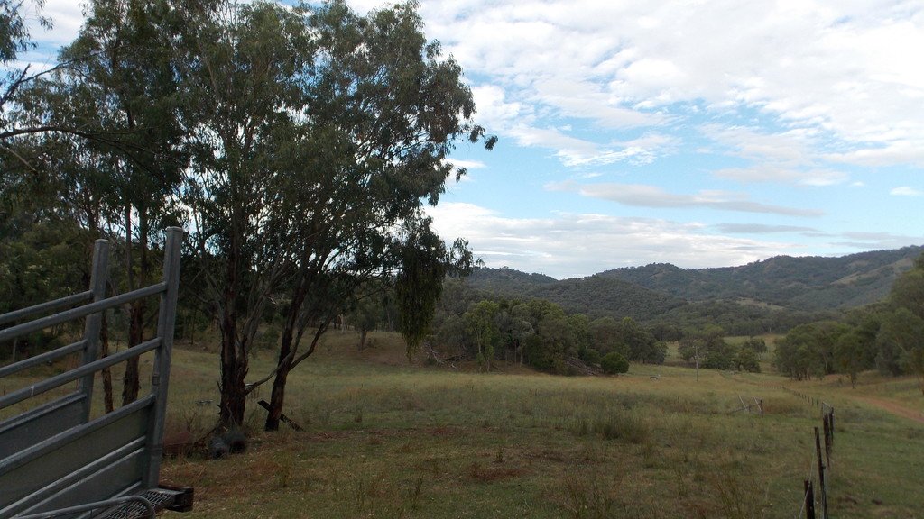 199 Echo Hills Road TAMWORTH 12