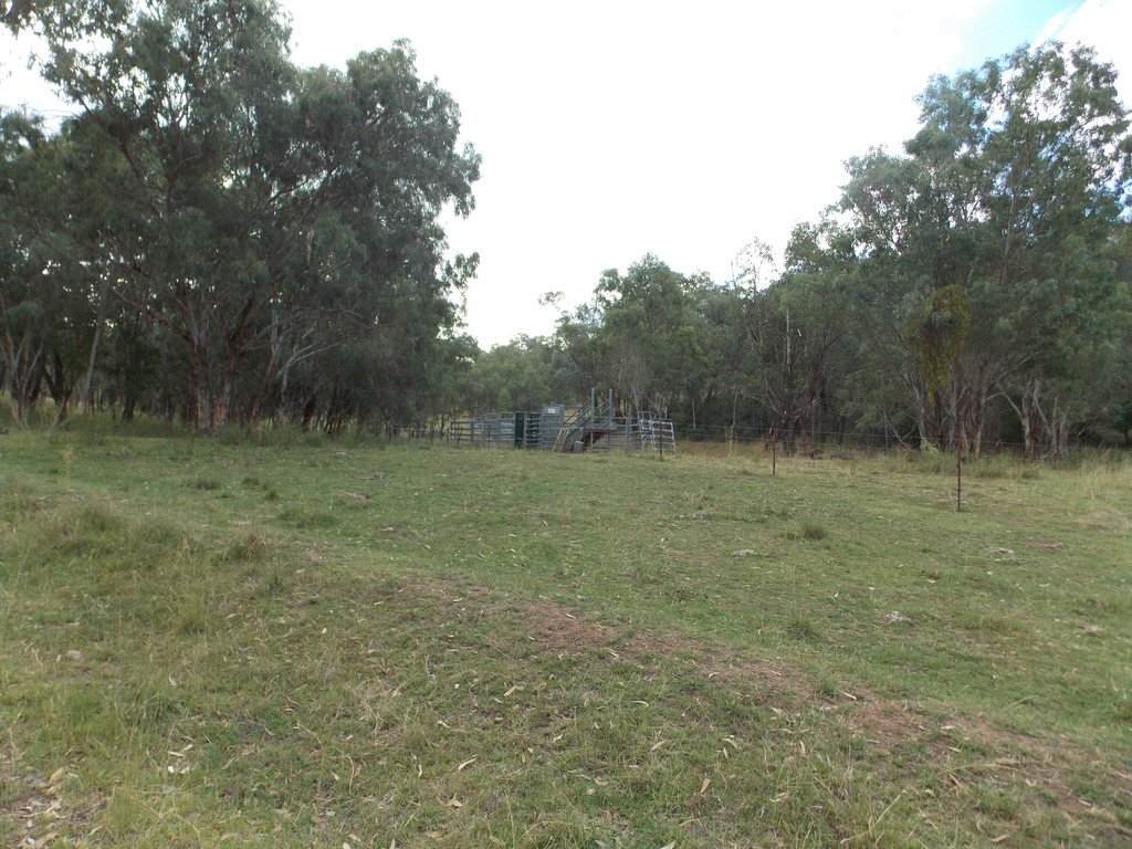 199 Echo Hills Road TAMWORTH 13