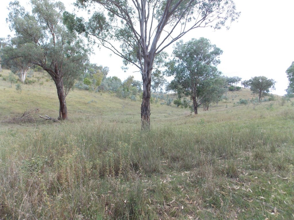 199 Echo Hills Road TAMWORTH 15