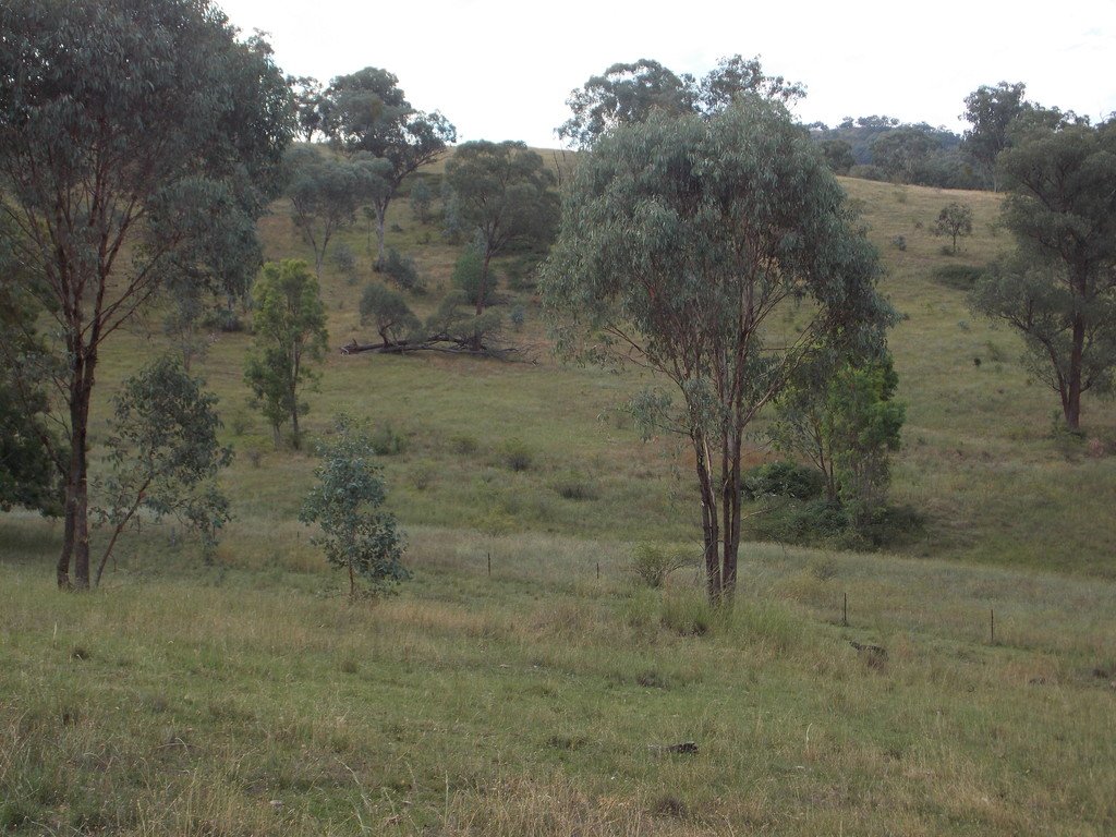 199 Echo Hills Road TAMWORTH 16