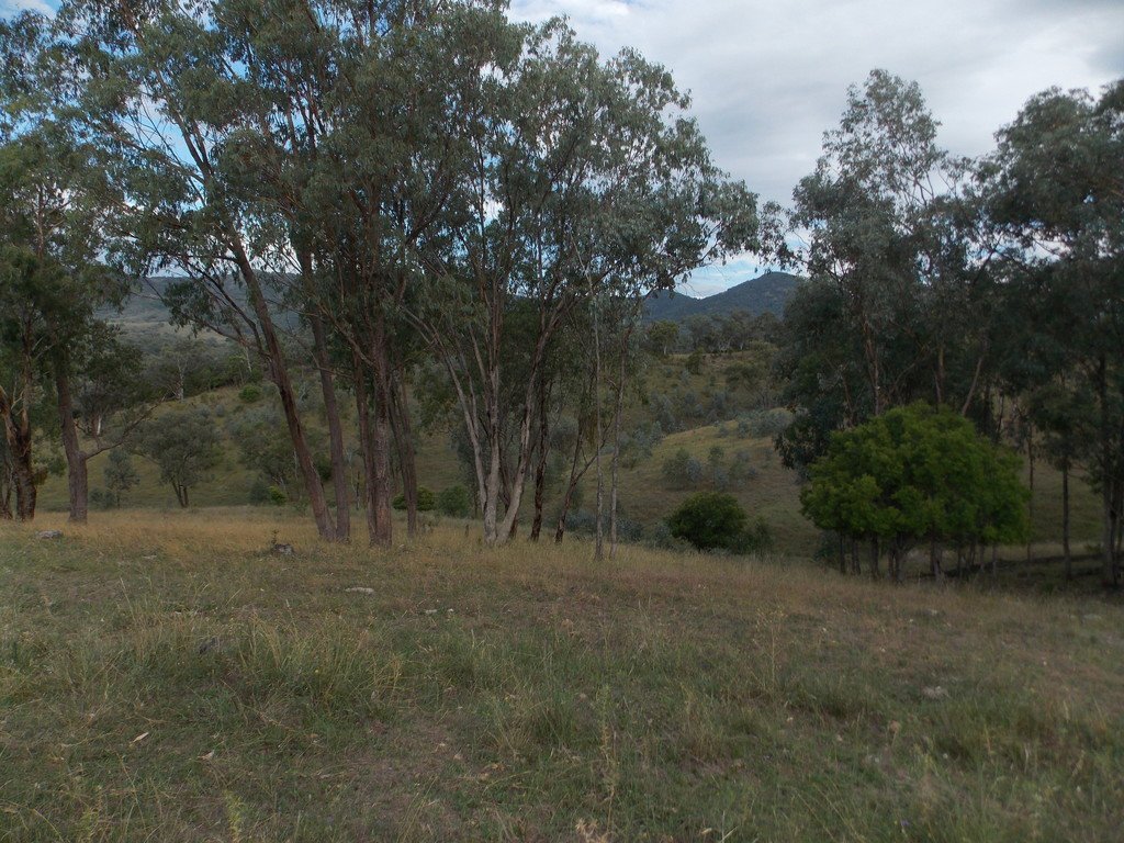 199 Echo Hills Road TAMWORTH 17