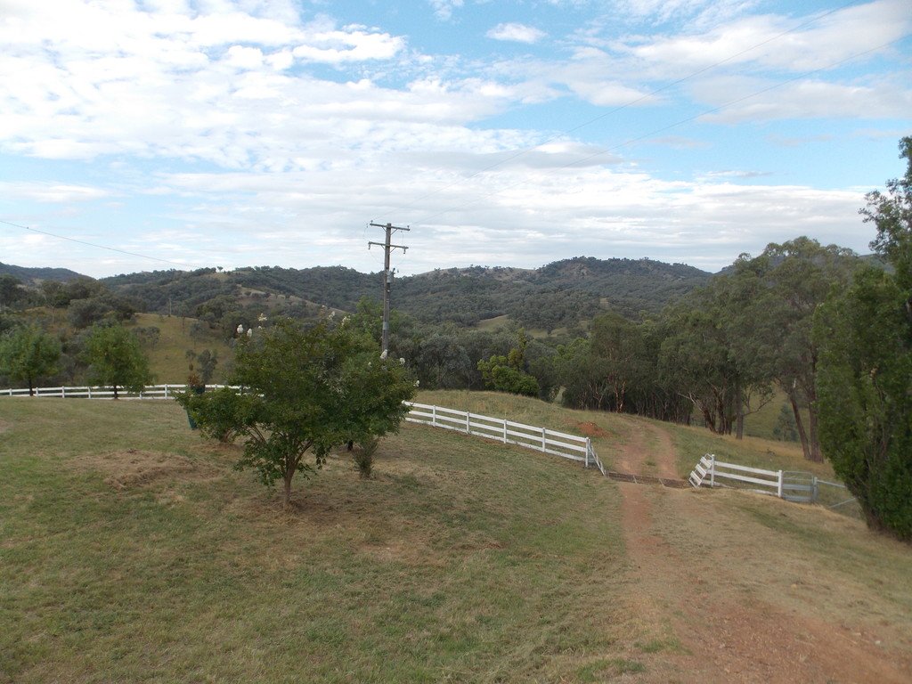 199 Echo Hills Road TAMWORTH 18
