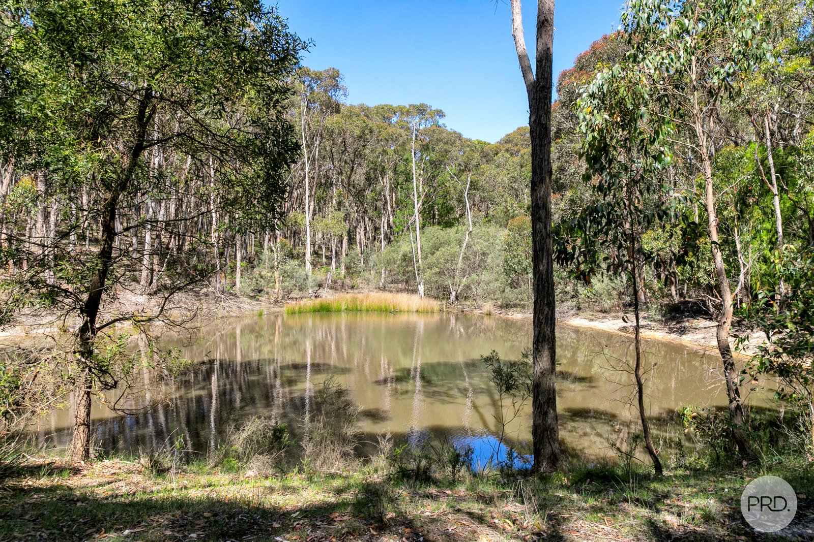 199 Grams Road SMYTHESDALE 10