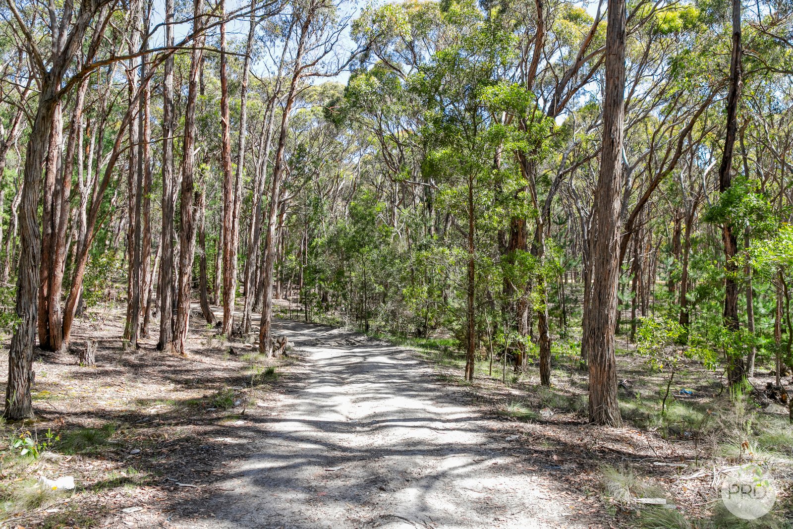 199 Grams Road SMYTHESDALE 11