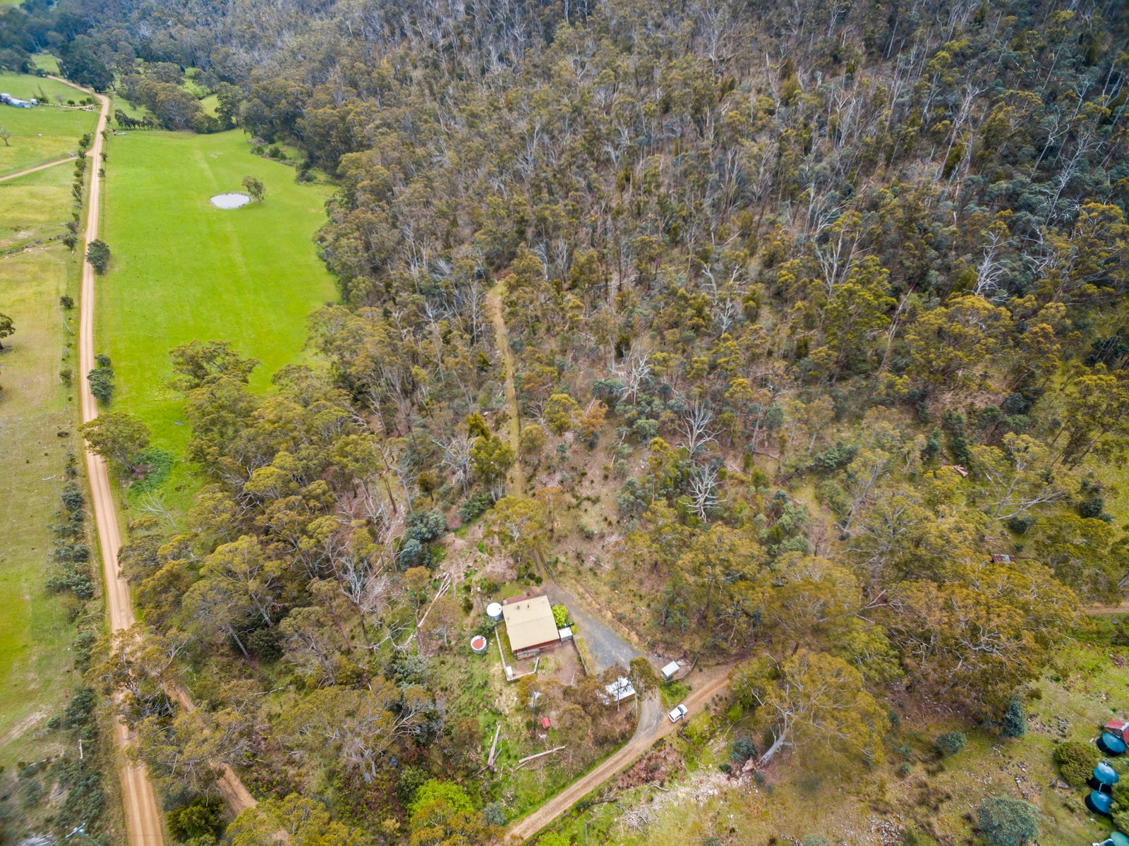 199 Ringwood Road LACHLAN 1