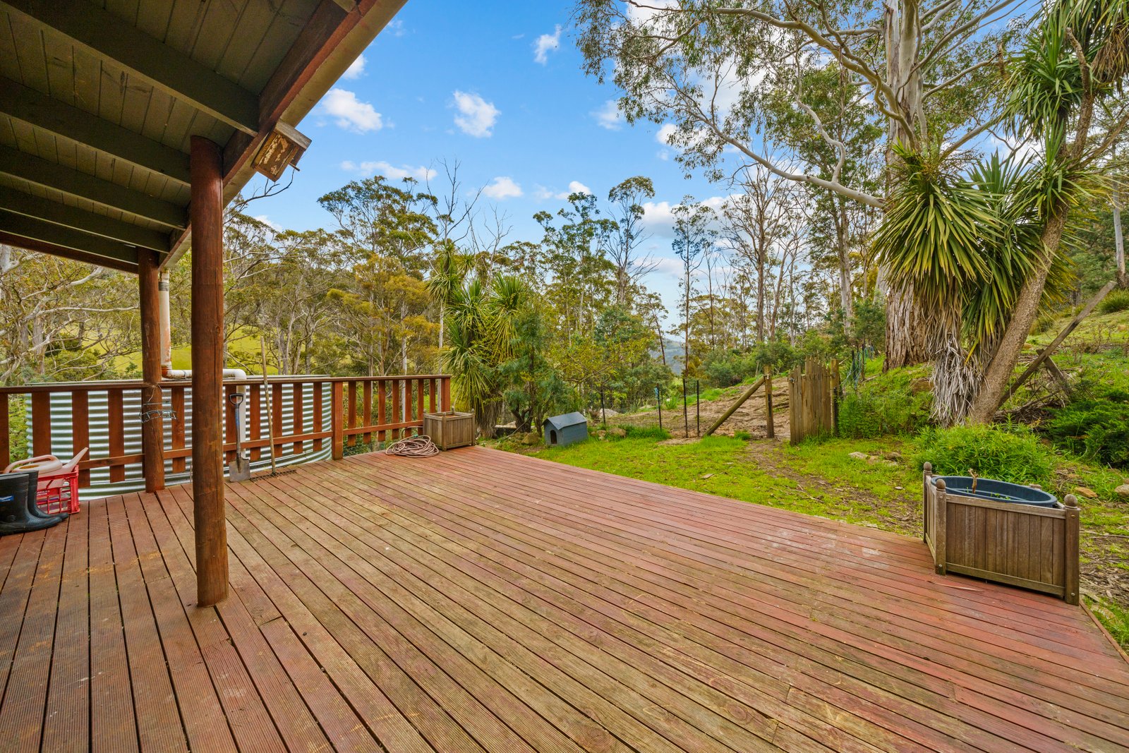 199 Ringwood Road LACHLAN 13