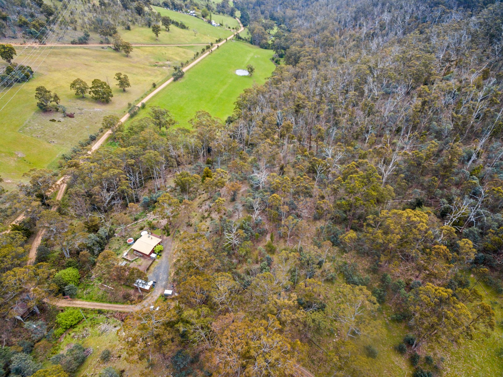 199 Ringwood Road LACHLAN 18