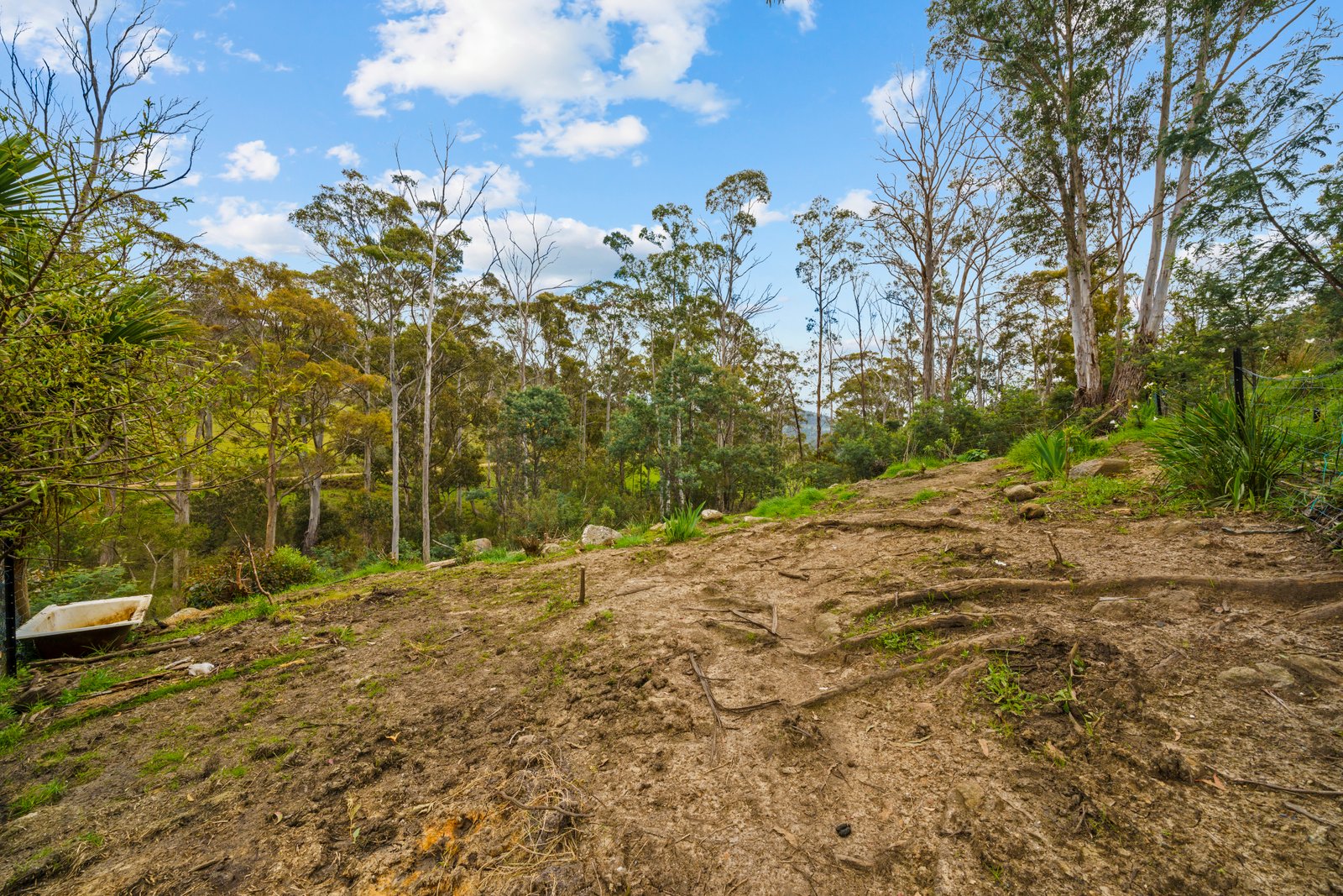 199 Ringwood Road LACHLAN 19
