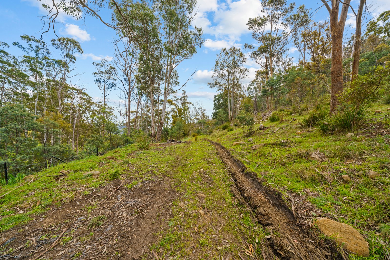 199 Ringwood Road LACHLAN 21