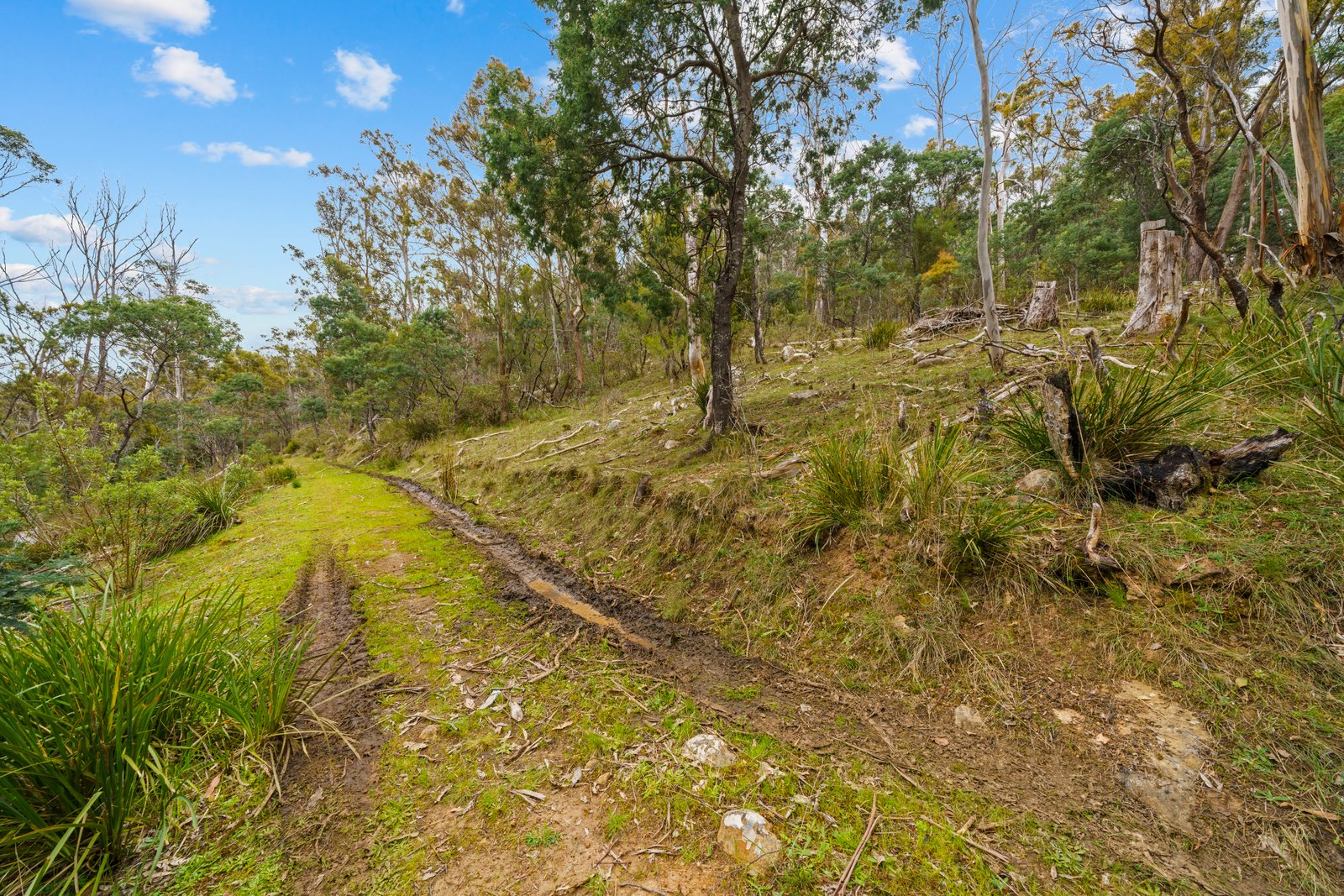 199 Ringwood Road LACHLAN 22