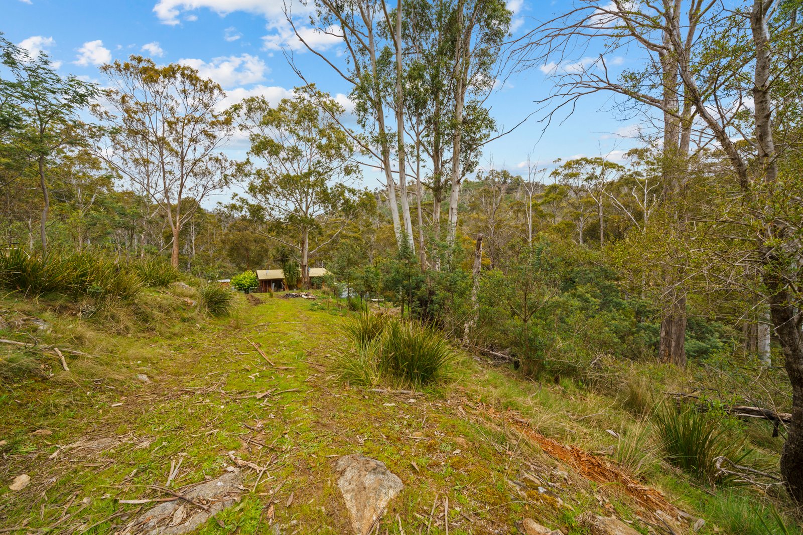 199 Ringwood Road LACHLAN 23