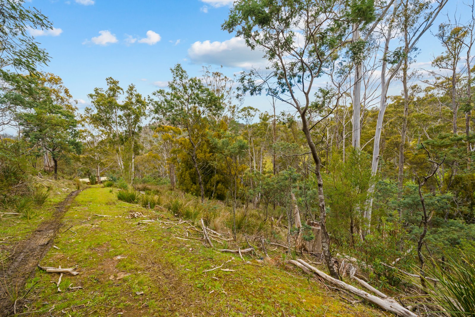 199 Ringwood Road LACHLAN 24