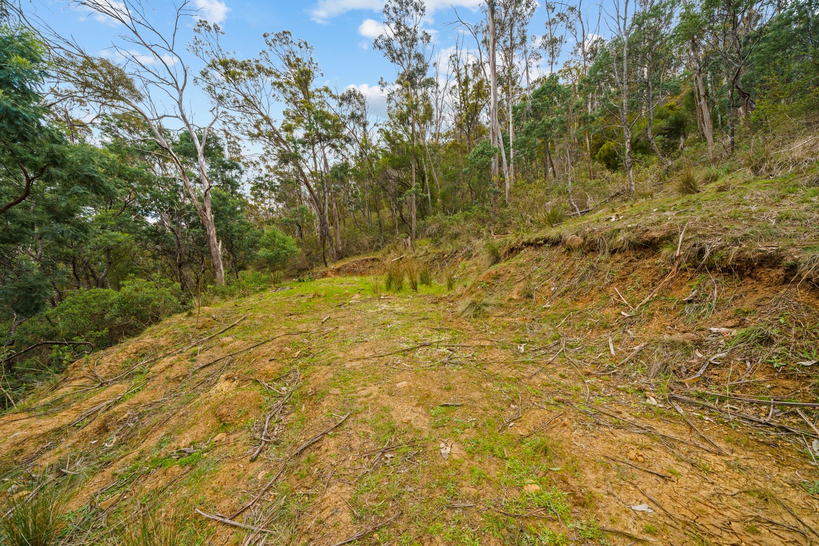 199 Ringwood Road LACHLAN 25
