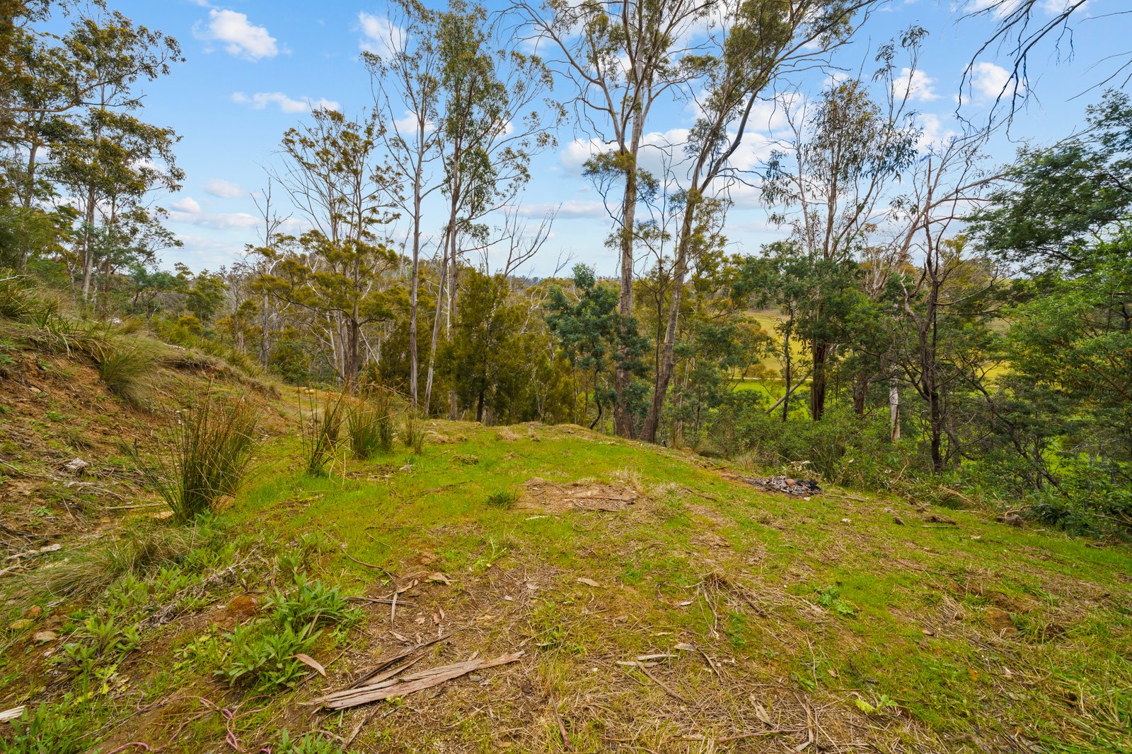 199 Ringwood Road LACHLAN 26