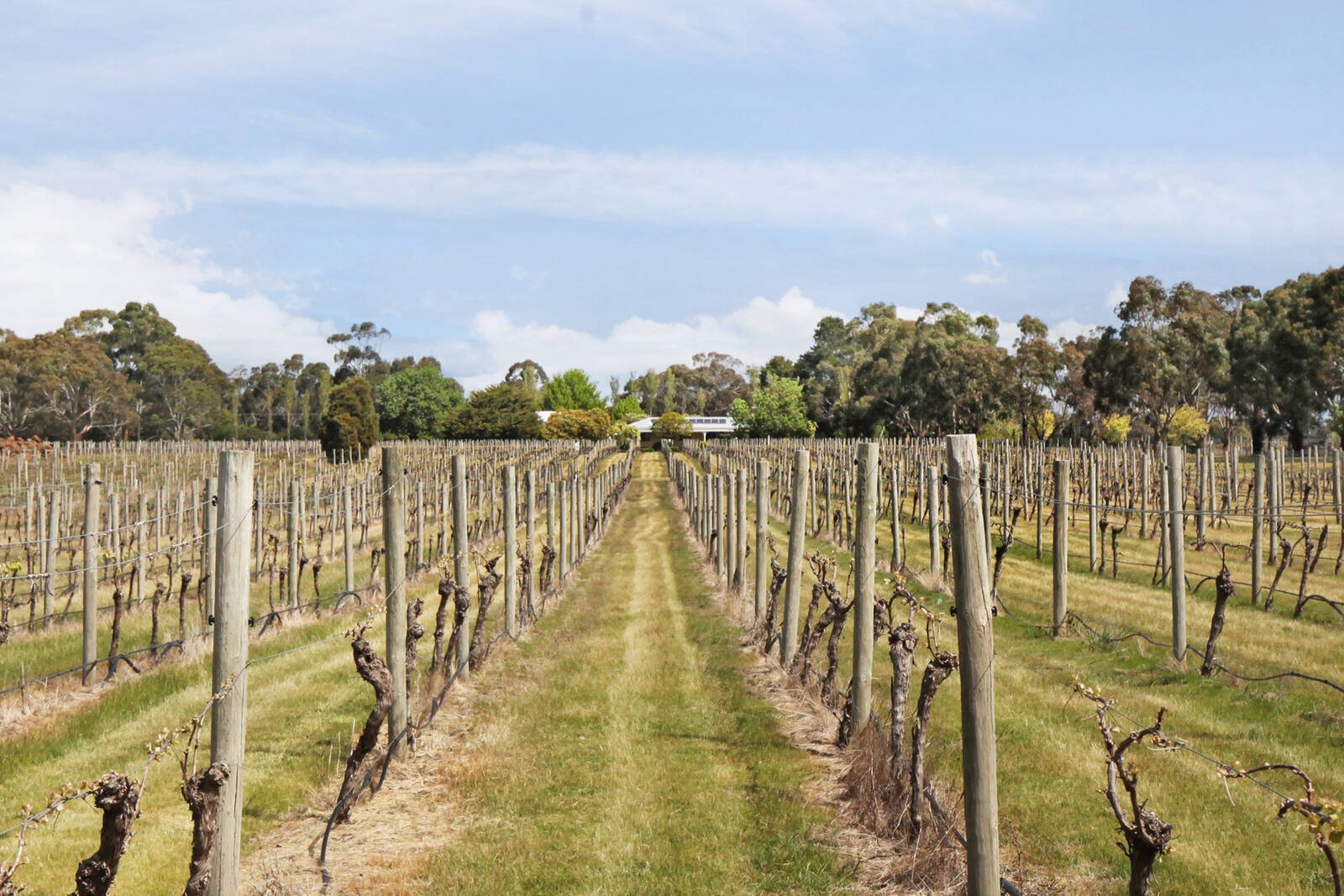 Real Estate and Property in 199 Zig Zag Road, Drummond North, VIC