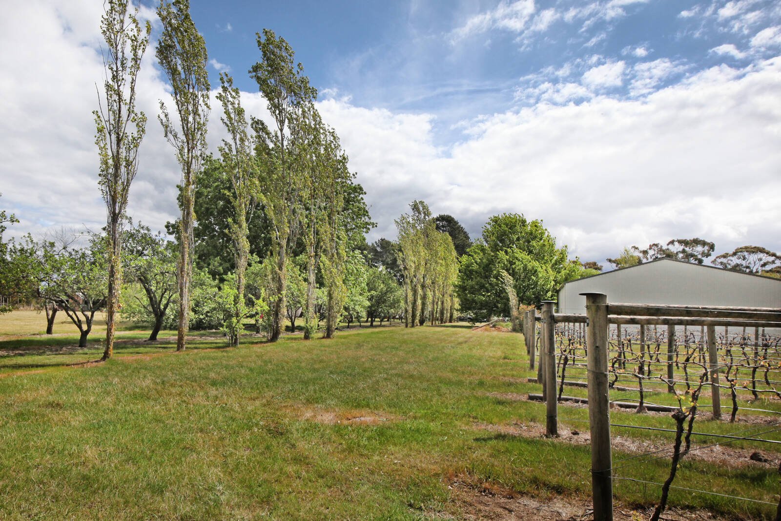 Real Estate and Property in 199 Zig Zag Road, Drummond North, VIC